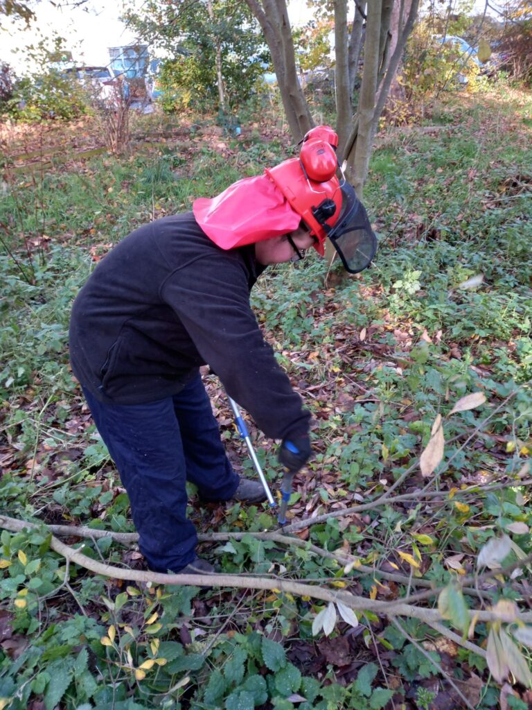 Pupil clearing hedgerow